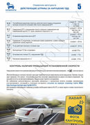 Штрафы в РБ и других странах